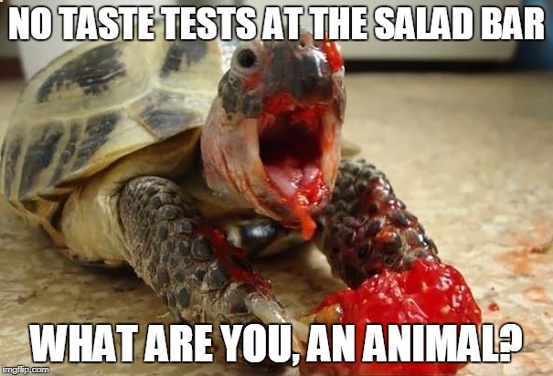 Buffet Rules Salad Bar Rules | NO TASTE TESTS AT THE SALAD BAR; WHAT ARE YOU, AN ANIMAL? | image tagged in animals,funny animals,gross,messy,nasty,nasty food | made w/ Imgflip meme maker
