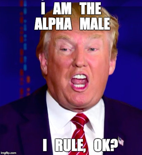 i am i am | Ι   ΑΜ   THE ALPHA   MALE; I   RULE,   OK? | image tagged in boss,donald trump approves,fantasy,deal with it,post-truth | made w/ Imgflip meme maker