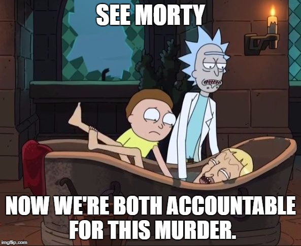 SEE MORTY; NOW WE'RE BOTH ACCOUNTABLE FOR THIS MURDER. | image tagged in rick and morty accountable | made w/ Imgflip meme maker