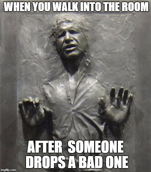 Han Solo Frozen Carbonite | WHEN YOU WALK INTO THE ROOM; AFTER  SOMEONE DROPS A BAD ONE | image tagged in han solo frozen carbonite | made w/ Imgflip meme maker