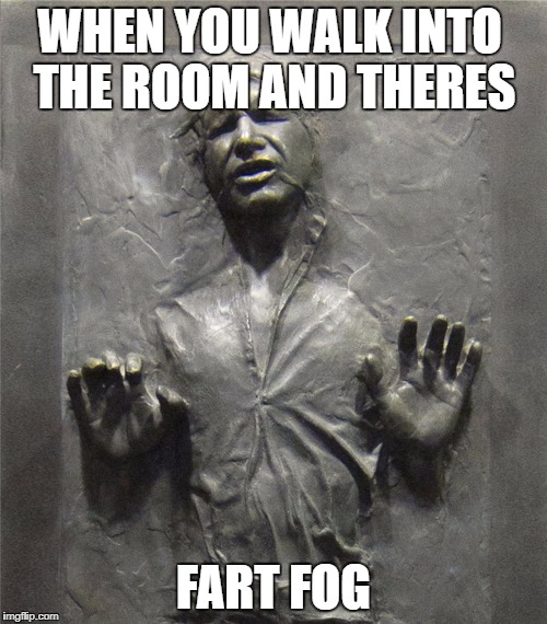 Han Solo carbonite  | WHEN YOU WALK INTO THE ROOM AND THERES; FART FOG | image tagged in han solo carbonite | made w/ Imgflip meme maker