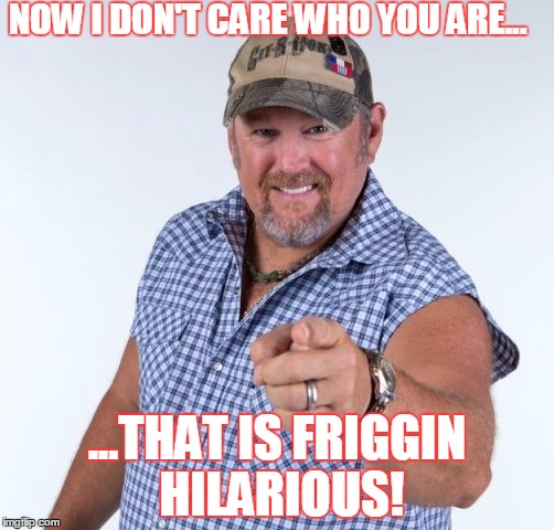 Larry the Cable Guy | NOW I DON'T CARE WHO YOU ARE... ...THAT IS FRIGGIN HILARIOUS! | image tagged in larry the cable guy | made w/ Imgflip meme maker