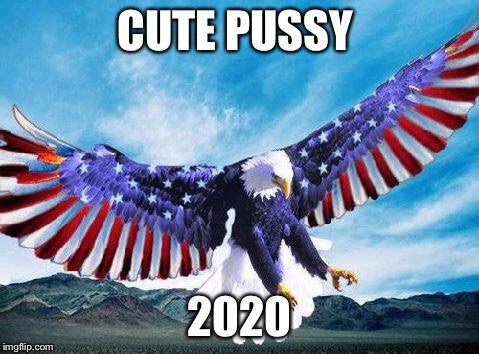 Freedom eagle | CUTE PUSSY 2020 | image tagged in freedom eagle | made w/ Imgflip meme maker
