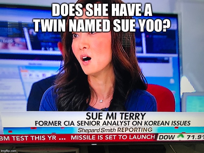 Austin powers joke in real life | DOES SHE HAVE A TWIN NAMED SUE YOO? | image tagged in funny,austin powers | made w/ Imgflip meme maker