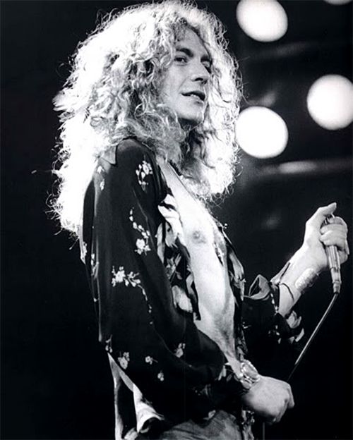 robert plant 5 Blank Meme Template