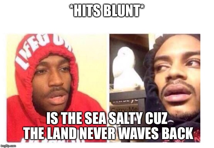 Hits blunt | *HITS BLUNT*; IS THE SEA SALTY CUZ THE LAND NEVER WAVES BACK | image tagged in hits blunt | made w/ Imgflip meme maker