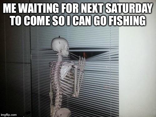 Waiting Skeleton |  ME WAITING FOR NEXT SATURDAY TO COME SO I CAN GO FISHING | image tagged in waiting skeleton | made w/ Imgflip meme maker