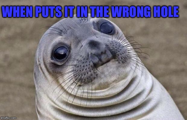 Awkward Moment Sealion Meme | WHEN PUTS IT IN THE WRONG HOLE | image tagged in memes,awkward moment sealion | made w/ Imgflip meme maker