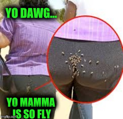 Flies | YO DAWG... YO MAMMA IS SO FLY | image tagged in fly | made w/ Imgflip meme maker