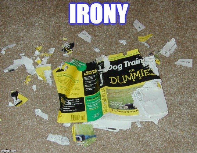 IRONY | image tagged in dogs | made w/ Imgflip meme maker