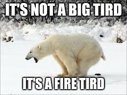 pooping bear | IT'S NOT A BIG TIRD; IT'S A FIRE TIRD | image tagged in pooping bear | made w/ Imgflip meme maker
