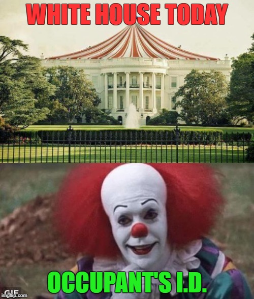 WHITE HOUSE TODAY; OCCUPANT'S I.D. | image tagged in donald trump | made w/ Imgflip meme maker