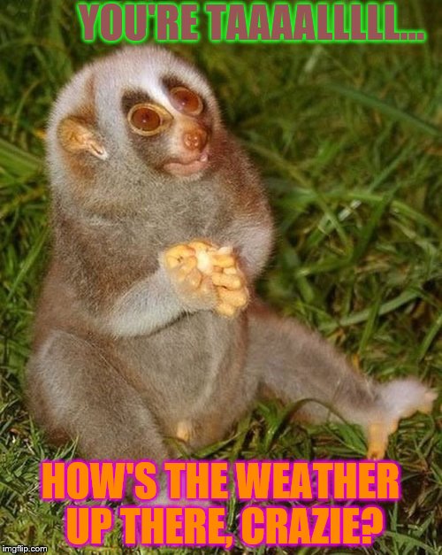 YOU'RE TAAAALLLLL... HOW'S THE WEATHER UP THERE, CRAZIE? | made w/ Imgflip meme maker