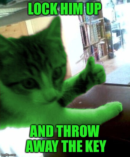 thumbs up RayCat | LOCK HIM UP AND THROW AWAY THE KEY | image tagged in thumbs up raycat | made w/ Imgflip meme maker