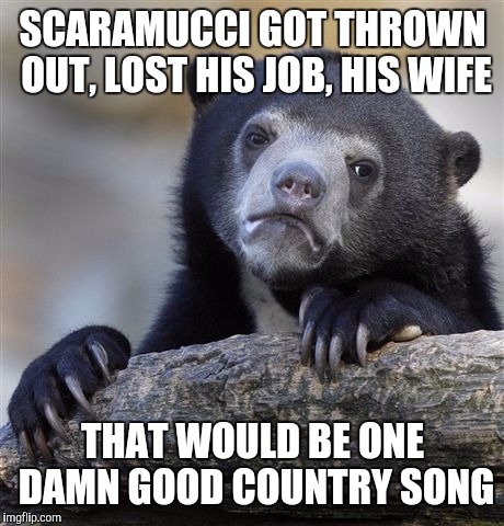 Confession Bear | SCARAMUCCI GOT THROWN OUT, LOST HIS JOB, HIS WIFE; THAT WOULD BE ONE DAMN GOOD COUNTRY SONG | image tagged in memes,confession bear | made w/ Imgflip meme maker