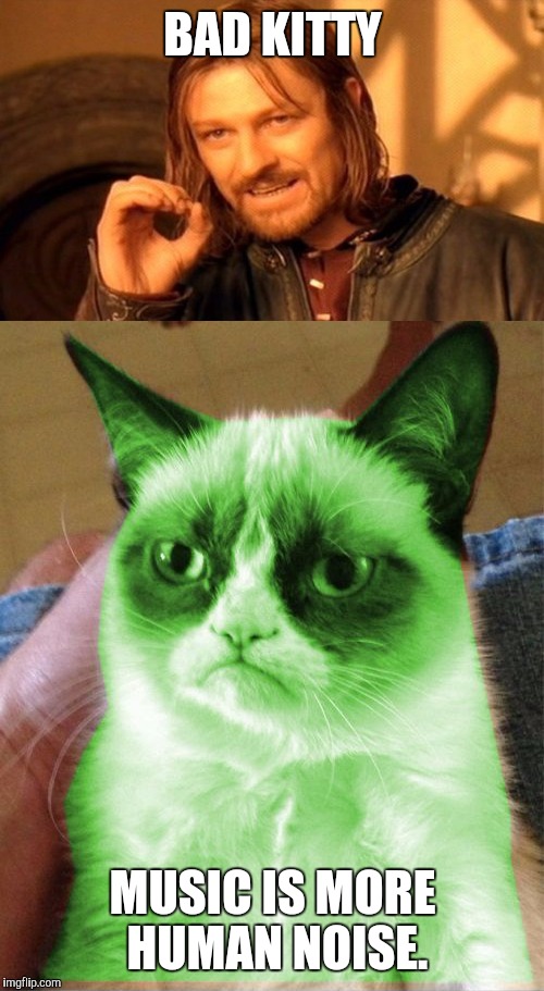 BAD KITTY MUSIC IS MORE HUMAN NOISE. | made w/ Imgflip meme maker