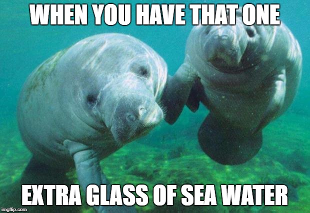 Dancing manatees |  WHEN YOU HAVE THAT ONE; EXTRA GLASS OF SEA WATER | image tagged in dancing manatees | made w/ Imgflip meme maker