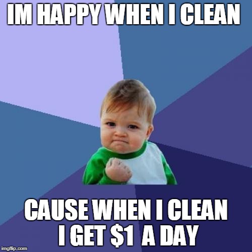 Success Kid | IM HAPPY WHEN I CLEAN; CAUSE WHEN I CLEAN I GET $1  A DAY | image tagged in memes,success kid | made w/ Imgflip meme maker