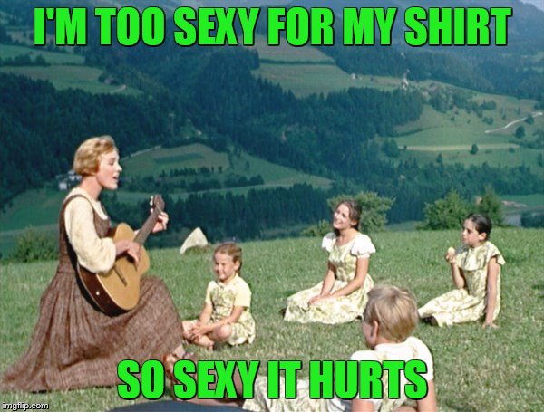 Maria from Sound of Music | I'M TOO SEXY FOR MY SHIRT; SO SEXY IT HURTS | image tagged in maria from sound of music | made w/ Imgflip meme maker