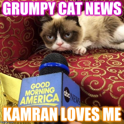 grumpy cat news | GRUMPY CAT NEWS; KAMRAN LOVES ME | image tagged in grumpy cat news | made w/ Imgflip meme maker