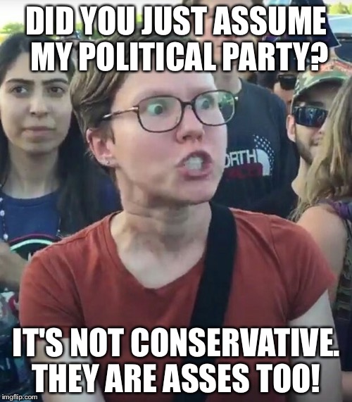 DID YOU JUST ASSUME MY POLITICAL PARTY? IT'S NOT CONSERVATIVE. THEY ARE ASSES TOO! | made w/ Imgflip meme maker