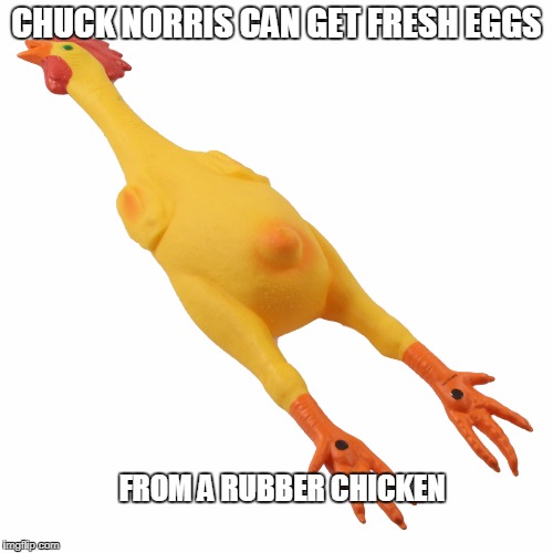 Chuck Norris rubber chicken | CHUCK NORRIS CAN GET FRESH EGGS; FROM A RUBBER CHICKEN | image tagged in rubber chicken,chuck norris,memes | made w/ Imgflip meme maker