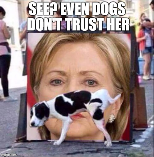 Dog Peeing On HIllary Clinton | SEE? EVEN DOGS DON'T TRUST HER | image tagged in dog peeing on hillary clinton | made w/ Imgflip meme maker
