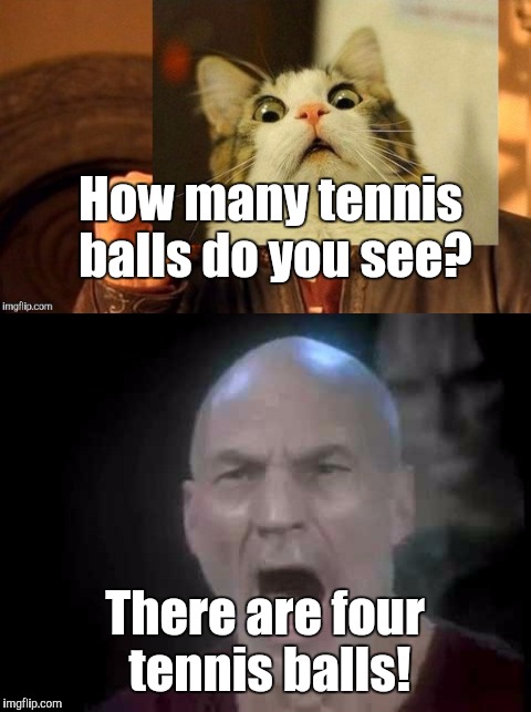 How many tennis balls do you see? There are four tennis balls! | made w/ Imgflip meme maker