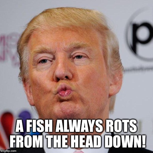 The Rotting Trump Administration  | A FISH ALWAYS ROTS FROM THE HEAD DOWN! | image tagged in donald trump,trump's administration | made w/ Imgflip meme maker