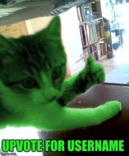 thumbs up RayCat | UPVOTE FOR USERNAME | image tagged in thumbs up raycat | made w/ Imgflip meme maker