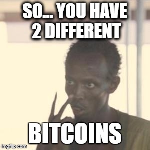 Look At Me Meme | SO... YOU HAVE 2 DIFFERENT; BITCOINS | image tagged in memes,look at me | made w/ Imgflip meme maker