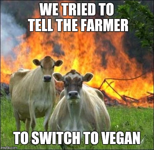 Evil Cows | WE TRIED TO TELL THE FARMER; TO SWITCH TO VEGAN | image tagged in memes,evil cows | made w/ Imgflip meme maker