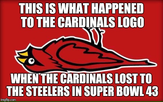 arizona cardinals | THIS IS WHAT HAPPENED TO THE CARDINALS LOGO; WHEN THE CARDINALS LOST TO THE STEELERS IN SUPER BOWL 43 | image tagged in arizona cardinals | made w/ Imgflip meme maker