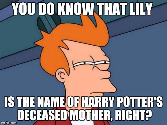 Futurama Fry Meme | YOU DO KNOW THAT LILY IS THE NAME OF HARRY POTTER'S DECEASED MOTHER, RIGHT? | image tagged in memes,futurama fry | made w/ Imgflip meme maker