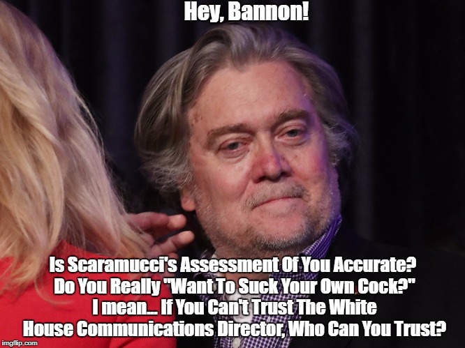 Hey, Bannon! Is Scaramucci's Assessment Of You Accurate? Do You Really "Want To Suck Your Own Cock?" I mean... If You Can't Trust The White  | made w/ Imgflip meme maker