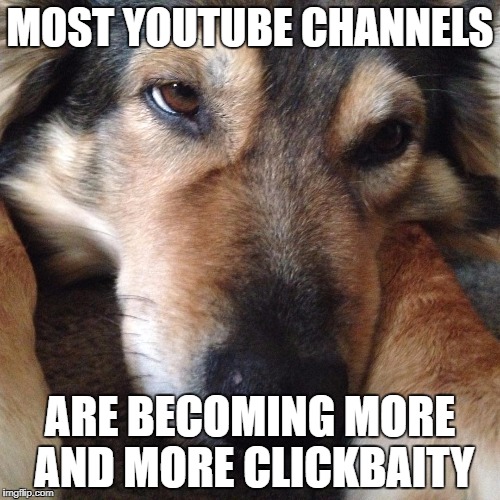 Kylie the Dog Disapproves | MOST YOUTUBE CHANNELS; ARE BECOMING MORE AND MORE CLICKBAITY | image tagged in kylie the dog disapproves | made w/ Imgflip meme maker