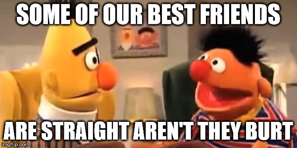 Burt and Ernie | SOME OF OUR BEST FRIENDS; ARE STRAIGHT AREN'T THEY BURT | image tagged in sesame street,straight,funny memes,gay | made w/ Imgflip meme maker