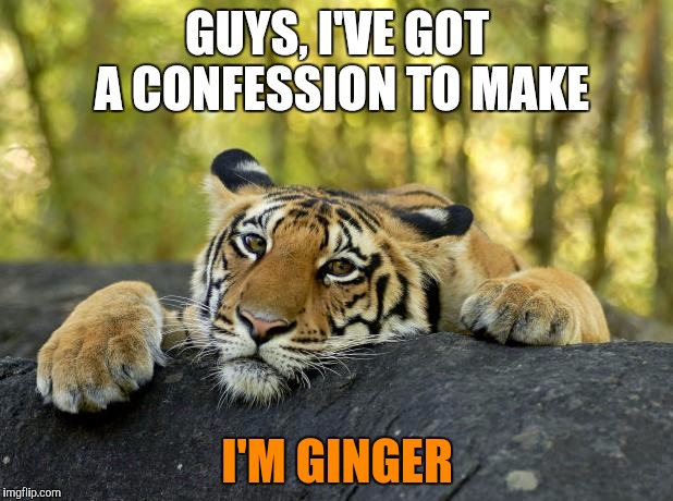 Gingers do have souls!! As for a sense of humour? Well . . . that's debatable | GUYS, I'VE GOT A CONFESSION TO MAKE; I'M GINGER | image tagged in tigerlegend1046,ginger,gingers do have souls,confession tiger,sense of humor | made w/ Imgflip meme maker
