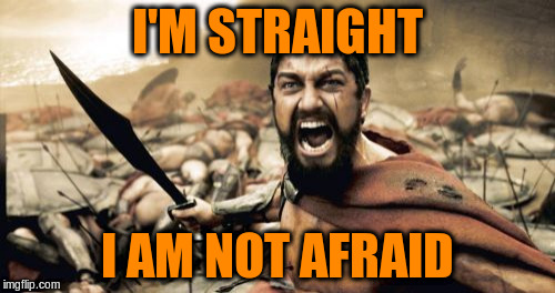 Sparta Leonidas Meme | I'M STRAIGHT I AM NOT AFRAID | image tagged in memes,sparta leonidas | made w/ Imgflip meme maker