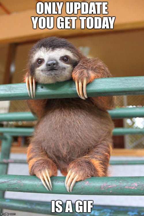 sloth | ONLY UPDATE YOU GET TODAY; IS A GIF | image tagged in sloth | made w/ Imgflip meme maker