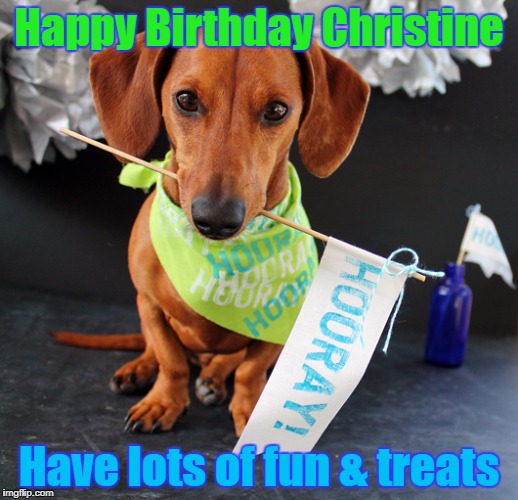 Happy Birthday Christine; Have lots of fun & treats | image tagged in happy birthday doxie | made w/ Imgflip meme maker