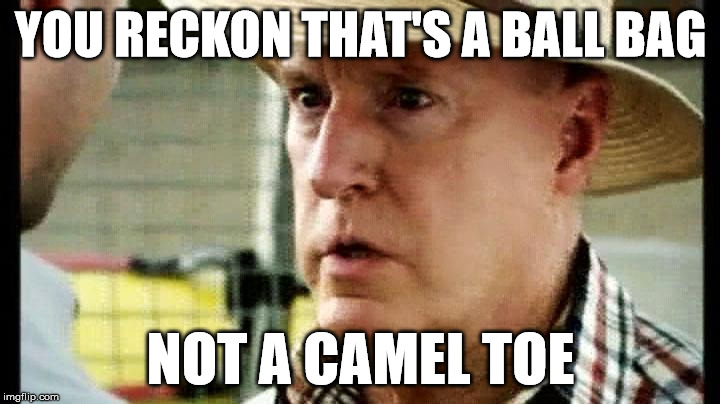 home and away  | YOU RECKON THAT'S A BALL BAG; NOT A CAMEL TOE | image tagged in alf,camel toe,transgender | made w/ Imgflip meme maker