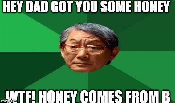 bbbbb | HEY DAD GOT YOU SOME HONEY; WTF! HONEY COMES FROM B | image tagged in high expectations asian father | made w/ Imgflip meme maker