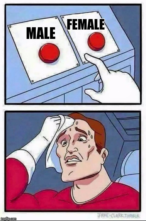 A transgender's toughest decision every day | FEMALE; MALE | image tagged in hard choice to make | made w/ Imgflip meme maker