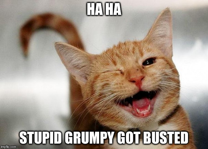 HA HA STUPID GRUMPY GOT BUSTED | made w/ Imgflip meme maker