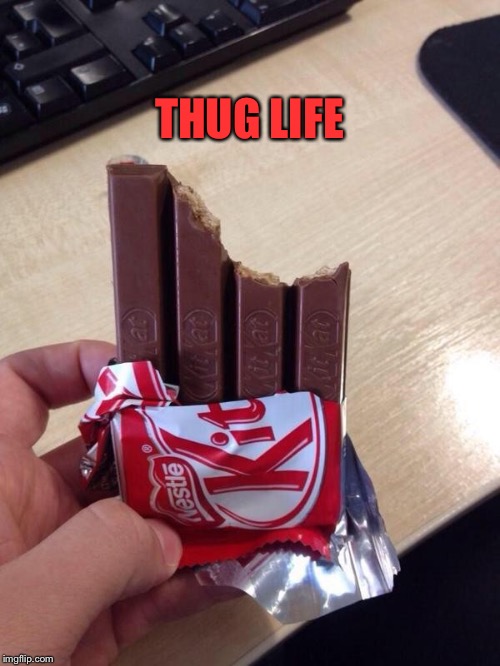 Eating a Kit Kat | THUG LIFE | image tagged in eating a kit kat | made w/ Imgflip meme maker