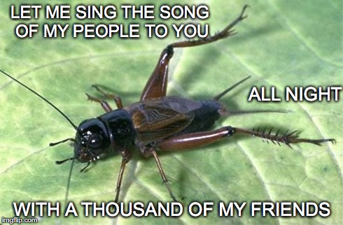 Nighttime Serrande  | LET ME SING THE SONG OF MY PEOPLE TO YOU; ALL NIGHT; WITH A THOUSAND OF MY FRIENDS | image tagged in cricket,night | made w/ Imgflip meme maker