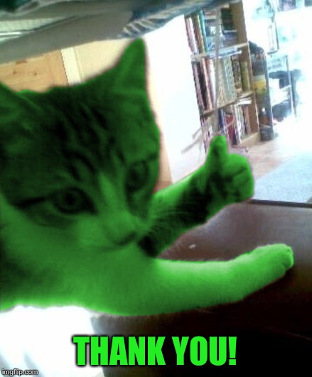thumbs up RayCat | THANK YOU! | image tagged in thumbs up raycat | made w/ Imgflip meme maker