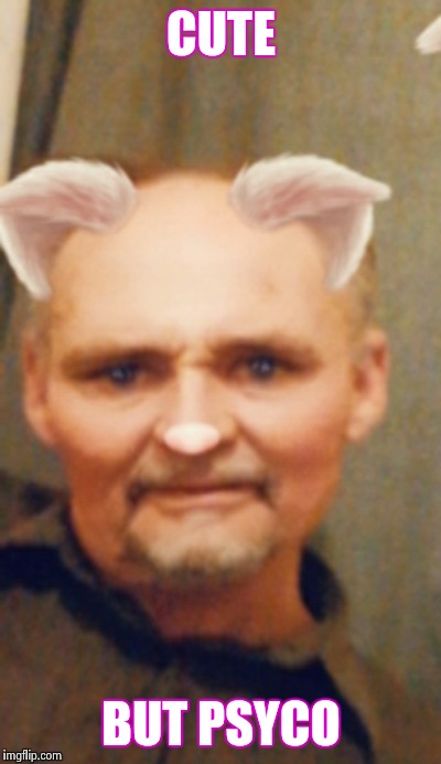Grumpy Cat's Grand Dad | CUTE; BUT PSYCO | image tagged in grumpy cat's grand dad | made w/ Imgflip meme maker