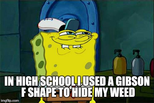 Don't You Squidward Meme | IN HIGH SCHOOL I USED A GIBSON F SHAPE TO HIDE MY WEED | image tagged in memes,dont you squidward | made w/ Imgflip meme maker